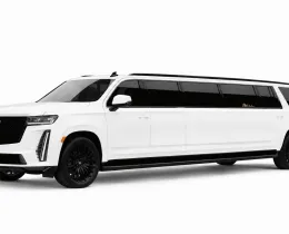White Limo